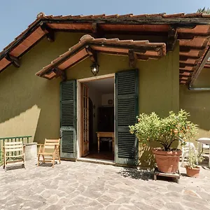 https://gigli-di-firenze.it-tuscanyhotel.com